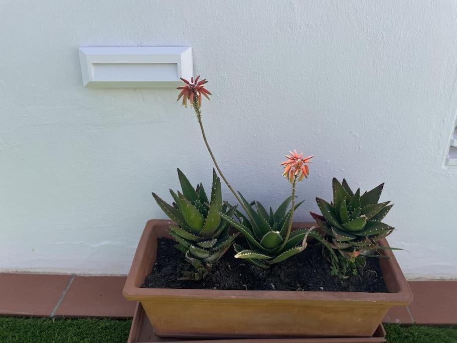 Casa Lola Conil, Azotea Al Mar Y Parking Solo Familias O Parejas Villa Conil de la Frontera Kültér fotó